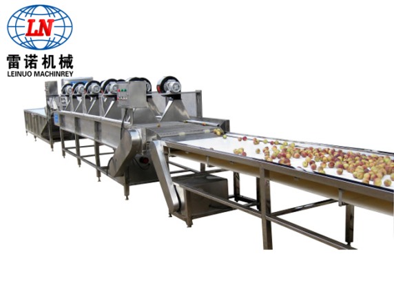 大棗清洗風干流水線