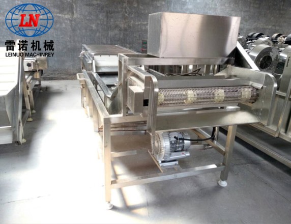 大型水果蔬菜清洗風干流水線